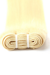 Premium Blonde Hair Extensions